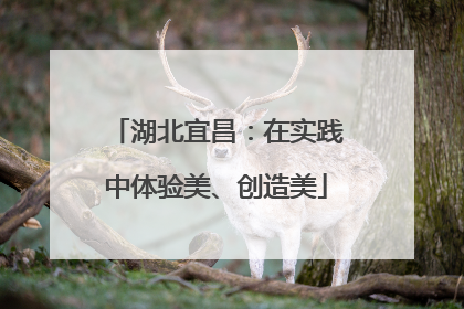 湖北宜昌：在实践中体验美、创造美