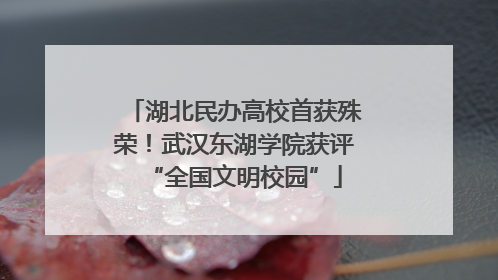 湖北民办高校首获殊荣！武汉东湖学院获评“全国文明校园”