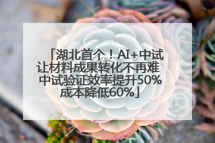 湖北首个！AI+中试让材料成果转化不再难 中试验证效率提升50%成本降低60%