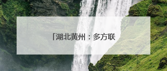 湖北黄州：多方联动合力解“薪”愁