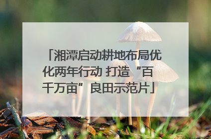 湘潭启动耕地布局优化两年行动 打造“百千万亩”良田示范片