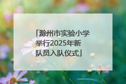 滁州市实验小学举行2025年新队员入队仪式