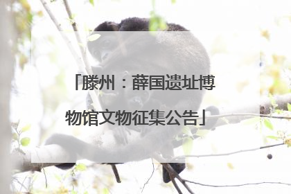 滕州：薛国遗址博物馆文物征集公告