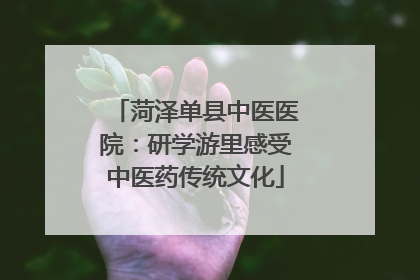菏泽单县中医医院：研学游里感受中医药传统文化
