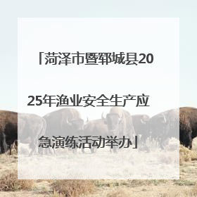 菏泽市暨郓城县2025年渔业安全生产应急演练活动举办
