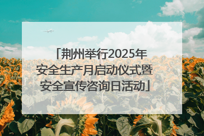 荆州举行2025年安全生产月启动仪式暨安全宣传咨询日活动