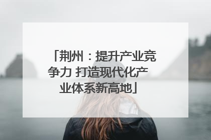荆州：提升产业竞争力 打造现代化产业体系新高地