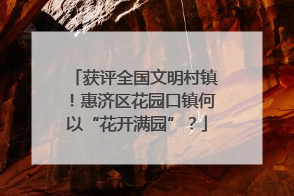 获评全国文明村镇！惠济区花园口镇何以“花开满园”？