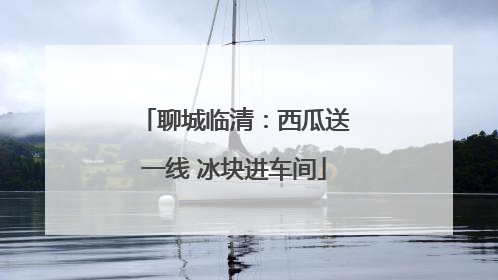 聊城临清：西瓜送一线 冰块进车间