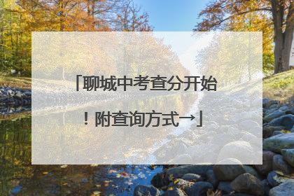 聊城中考查分开始！附查询方式→