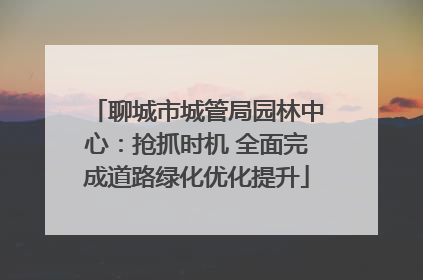 聊城市城管局园林中心：抢抓时机 全面完成道路绿化优化提升
