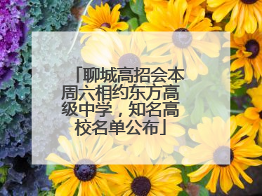 聊城高招会本周六相约东方高级中学，知名高校名单公布