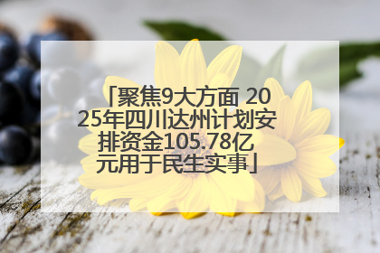 聚焦9大方面 2025年四川达州计划安排资金105.78亿元用于民生实事