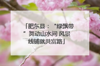 肥东县：“绿飘带”舞动山水间 风景线铺就共富路