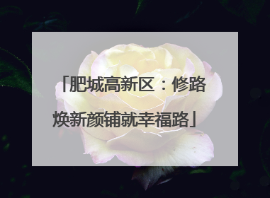 肥城高新区：修路焕新颜铺就幸福路