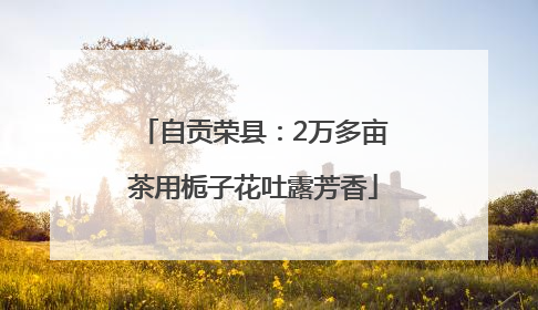 自贡荣县：2万多亩茶用栀子花吐露芳香