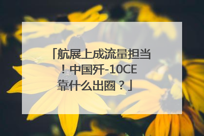 航展上成流量担当!中国歼-10CE靠什么出圈?