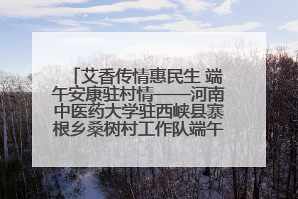 艾香传情惠民生 端午安康驻村情——河南中医药大学驻西峡县寨根乡桑树村工作队端午中医惠民记