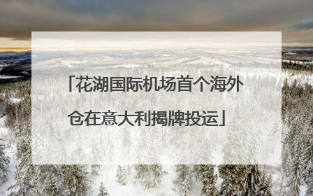 花湖国际机场首个海外仓在意大利揭牌投运