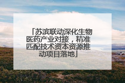 苏滨联动深化生物医药产业对接，精准匹配技术资本资源推动项目落地