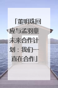 董明珠回应与孟羽童未来合作计划：我们一直在合作