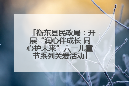衡东县民政局：开展“润心伴成长 同心护未来”六一儿童节系列关爱活动