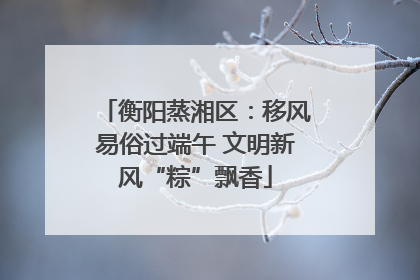 衡阳蒸湘区：移风易俗过端午 文明新风“粽”飘香