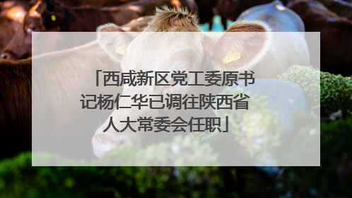 西咸新区党工委原书记杨仁华已调往陕西省人大常委会任职