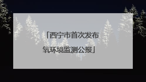 西宁市首次发布氧环境监测公报