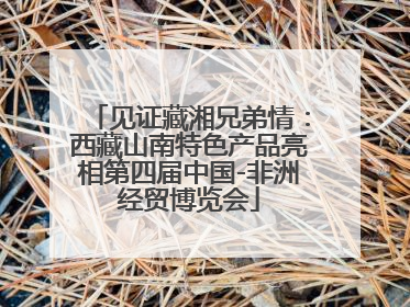 见证藏湘兄弟情：西藏山南特色产品亮相第四届中国-非洲经贸博览会