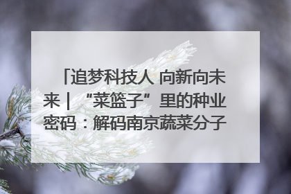 追梦科技人 向新向未来｜“菜篮子”里的种业密码：解码南京蔬菜分子育种的创新之路