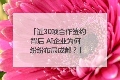 近30项合作签约背后 AI企业为何纷纷布局成都？
