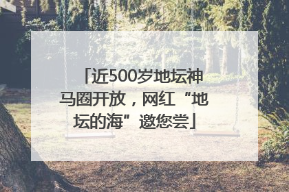 近500岁地坛神马圈开放，网红“地坛的海”邀您尝