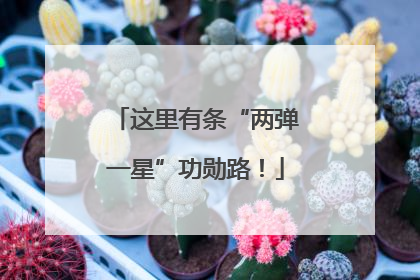 这里有条“两弹一星”功勋路！
