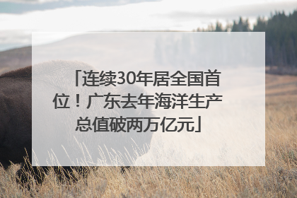 连续30年居全国首位！广东去年海洋生产总值破两万亿元