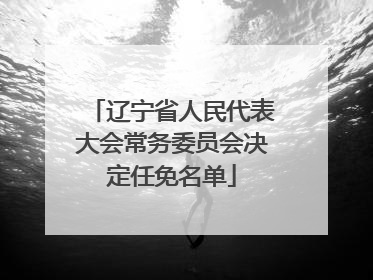 辽宁省人民代表大会常务委员会决定任免名单