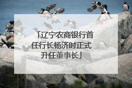 辽宁农商银行首任行长杨济时正式升任董事长