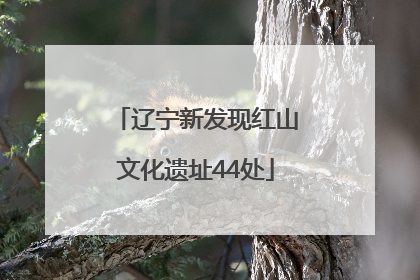 辽宁新发现红山文化遗址44处
