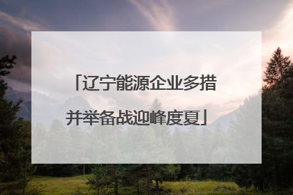 辽宁能源企业多措并举备战迎峰度夏