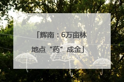 辉南：6万亩林地点“药”成金