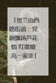 贺兰山西路街道：党旗飘扬芦花情 红歌嘹亮一家亲