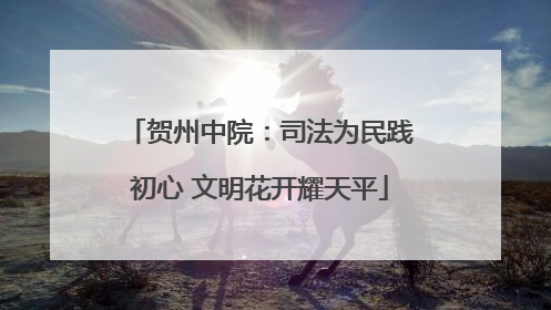 贺州中院：司法为民践初心 文明花开耀天平