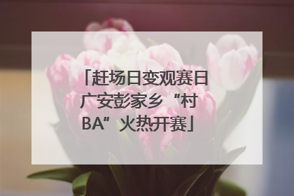 赶场日变观赛日 广安彭家乡“村BA”火热开赛