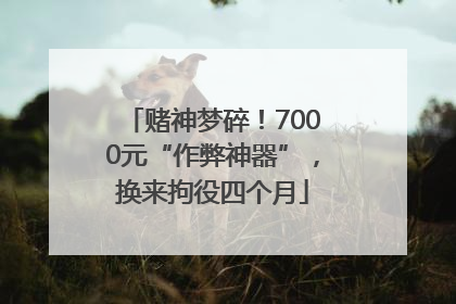 赌神梦碎！7000元“作弊神器”，换来拘役四个月