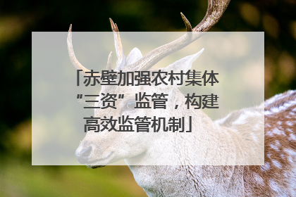赤壁加强农村集体“三资”监管，构建高效监管机制