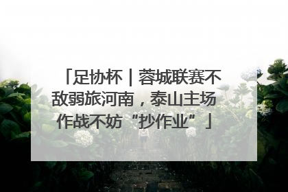 足协杯｜蓉城联赛不敌弱旅河南，泰山主场作战不妨“抄作业”