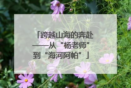 跨越山海的奔赴——从“杨老师”到“海河阿帕”