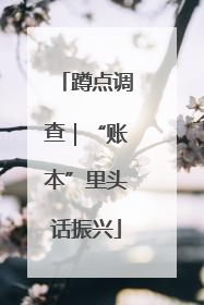 蹲点调查｜“账本”里头话振兴