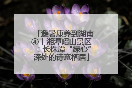 避暑康养到湖南④丨湘潭昭山景区：长株潭“绿心”深处的诗意栖居