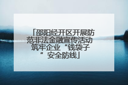 邵阳经开区开展防范非法金融宣传活动 筑牢企业“钱袋子”安全防线